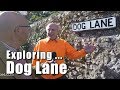 Walks in Sussex: Exploring Dog Lane in Steyning, West Sussex