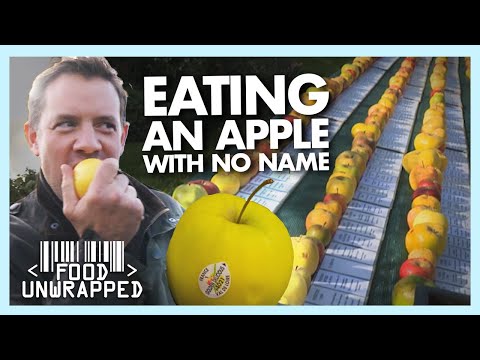 How and WHY are there SO MANY Varieties of Apple? | Food Unwrapped