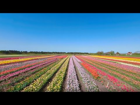 Voorjaar op Texel in 360 graden