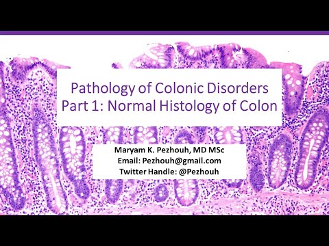 Pathology of Colonic Disorders, Part1: Normal Histology of Colon