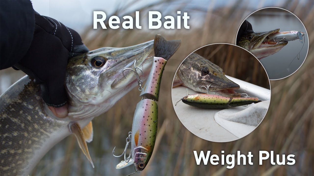 Разлавливаем Real Bait Weight Plus - YouTube