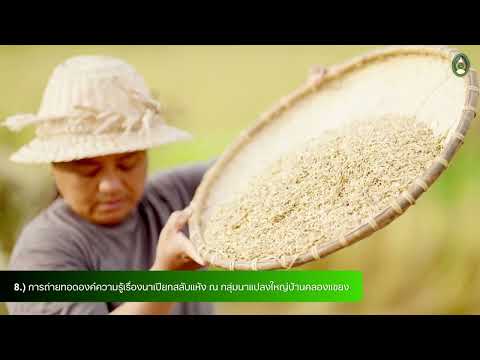 โครงการส่งเสริมความเป็นกลางทางคาร์บอนเพื่อลดภาวะโลกร้อน มหาวิทยาลัยราชภัฏกำแพงเพชร