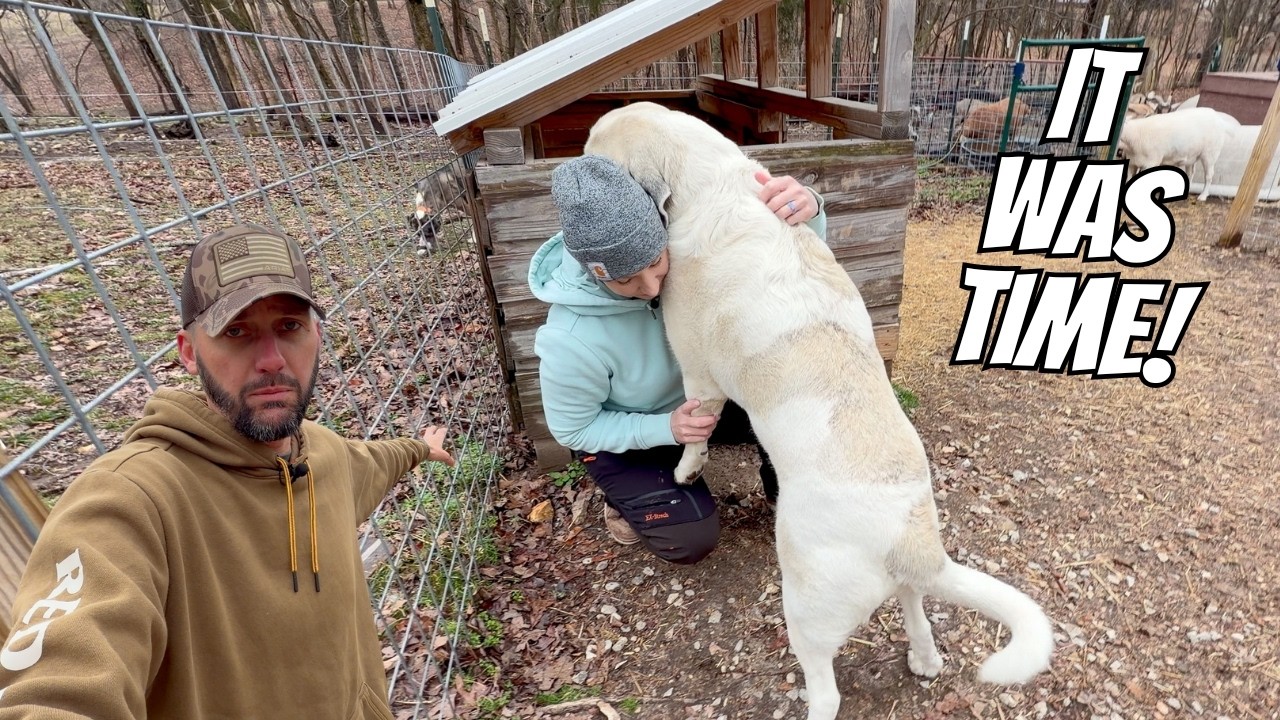 It HAD To Be Done...