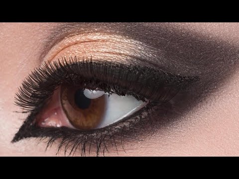 من أين أتت حاسة البصر لدى الإنسان والحيوانات السؤال الذي حي ر داروين فرانس 24  24