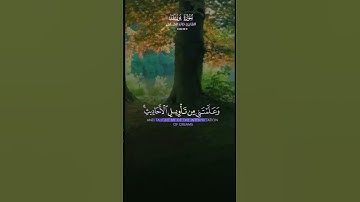 تلاوة خاشعة 🕊️ استمع وارح بالك 🎧 سورة يوسف