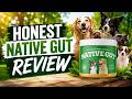 Native Gut Review 2026: Dog Digestive Support Explained