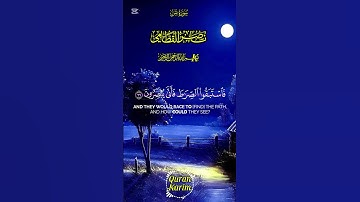 سورة يس القاريء ناصر القطامي #quran #القران #صوت_جميل #تلاوة_خاشعة #راحة_نفسية #اكتب_شي_تؤجر_عليه