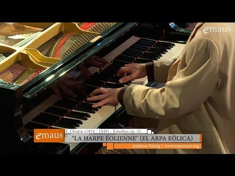 Andreas König (Recital humanitario) |  F. Chopin (1810-1849) - Estudios op.  25