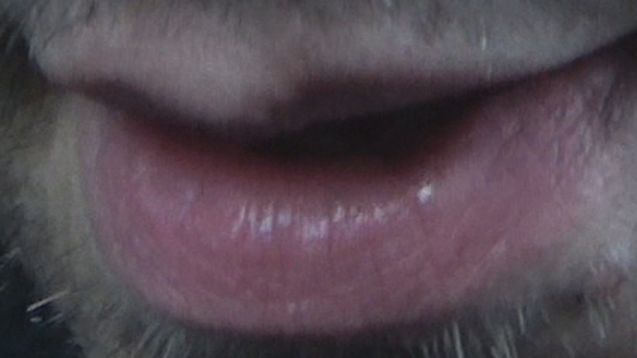 Nuclear Nightmare With The Crew & Two Games About Towers