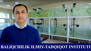 Baliqchilik Ilmiy-tadqiqot Instituti