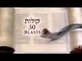 Understanding the Shofar Blasts on Rosh Hashanah