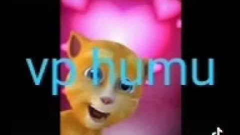 TRAILORwatchBox trailer