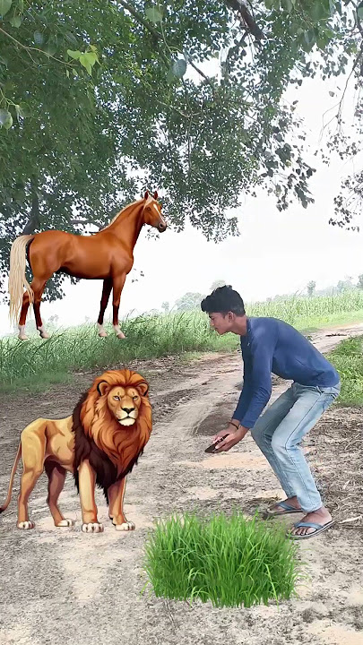 ye dekhiye gais yah gaye ko gas khila Raha hai vfxvideos vfx shorts video #vfxgaurav #cartoon#funny