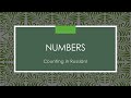 24. Age, Numbers, and Counting Objects in Russian