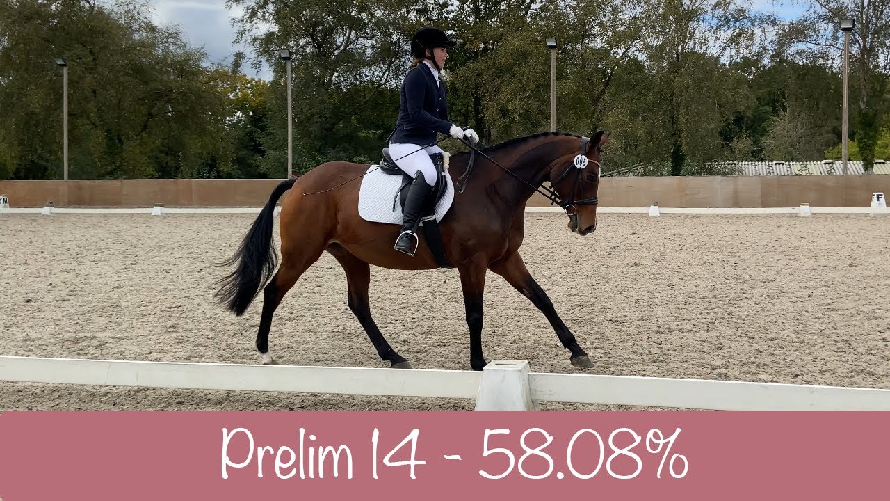 Unaffiliated BD Prelim 14 Dressage Test 58.08 YouTube Unaffiliated BD Prelim 14 Dressage Test 58.08 YouTube