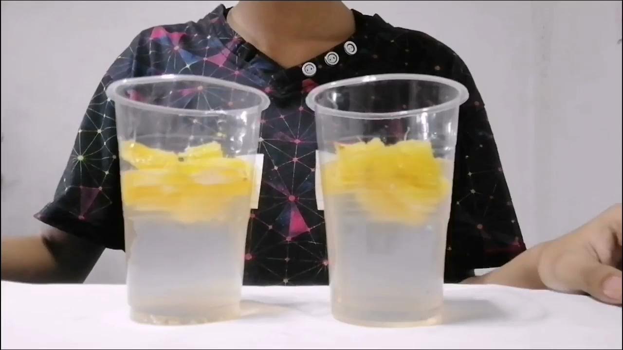 EXPERIMENT ENZYME FROM PINEAPPLE YouTube