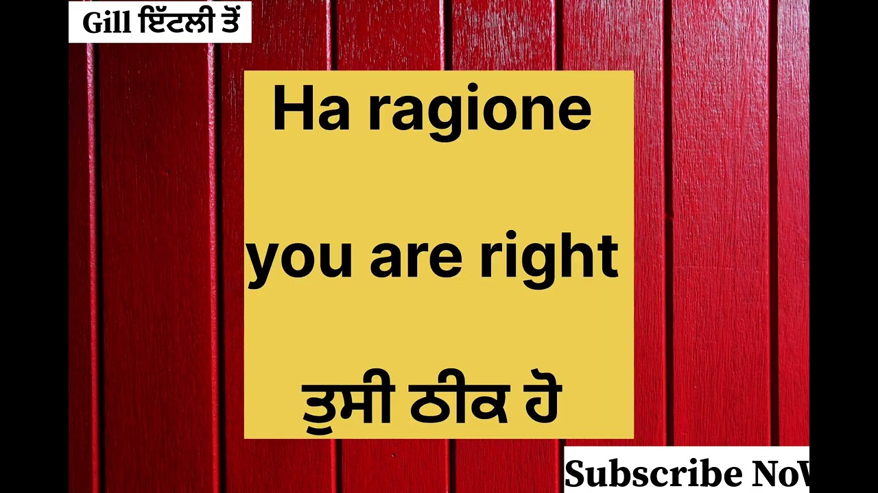 Learn🇮🇹Italian Language In Punjabi ||Sentences (DailyUses EasyWords) #italianlanguagelearning #study