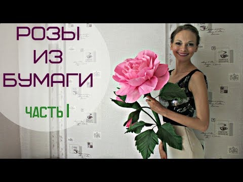 Видео: Бурбонови рози