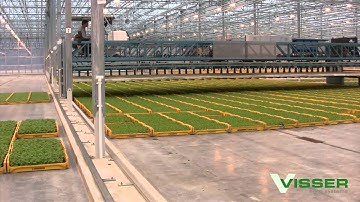 Visser Horti Systems - X-Y System - Beekenkamp