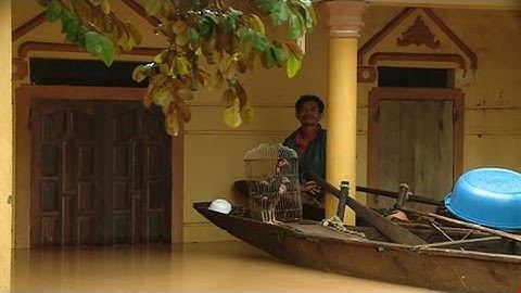 Lũ lụt ở Quảng Bình NGÀY 01/11  - LŨ tại Quảng Bình LẠI NHẤN CHÌM HÀNG NGÀN NGÔI NHÀ