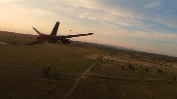 Вдруг откуда не возьмись, появился еще один дельфин