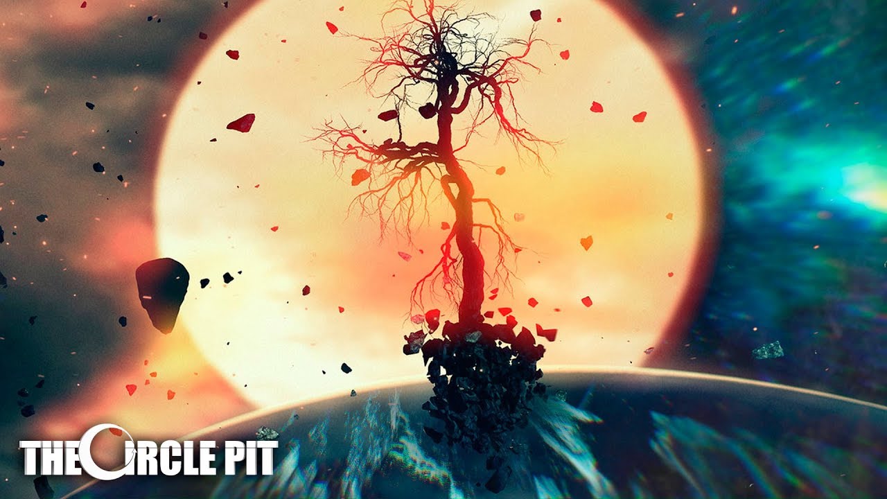 Cold Insight - The Light We Are (Official) | The Circle Pit