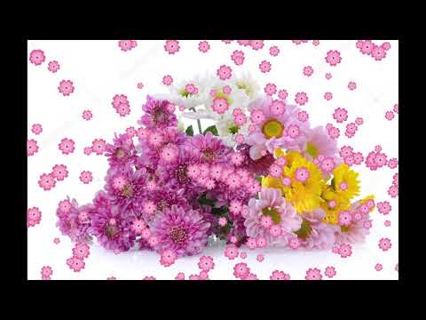 Сердечное поздравление с днём рождения женщине - Музыкальная открытка