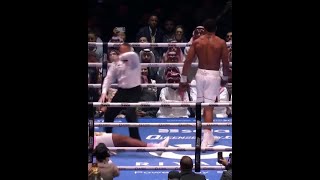 Anthony Joshua Destroys Francis Ngannou 