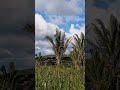 LINDA PAISAGEM