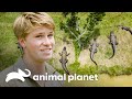 Transporte de dez jacarés enormes | A Família Irwin | Animal Planet Brasil