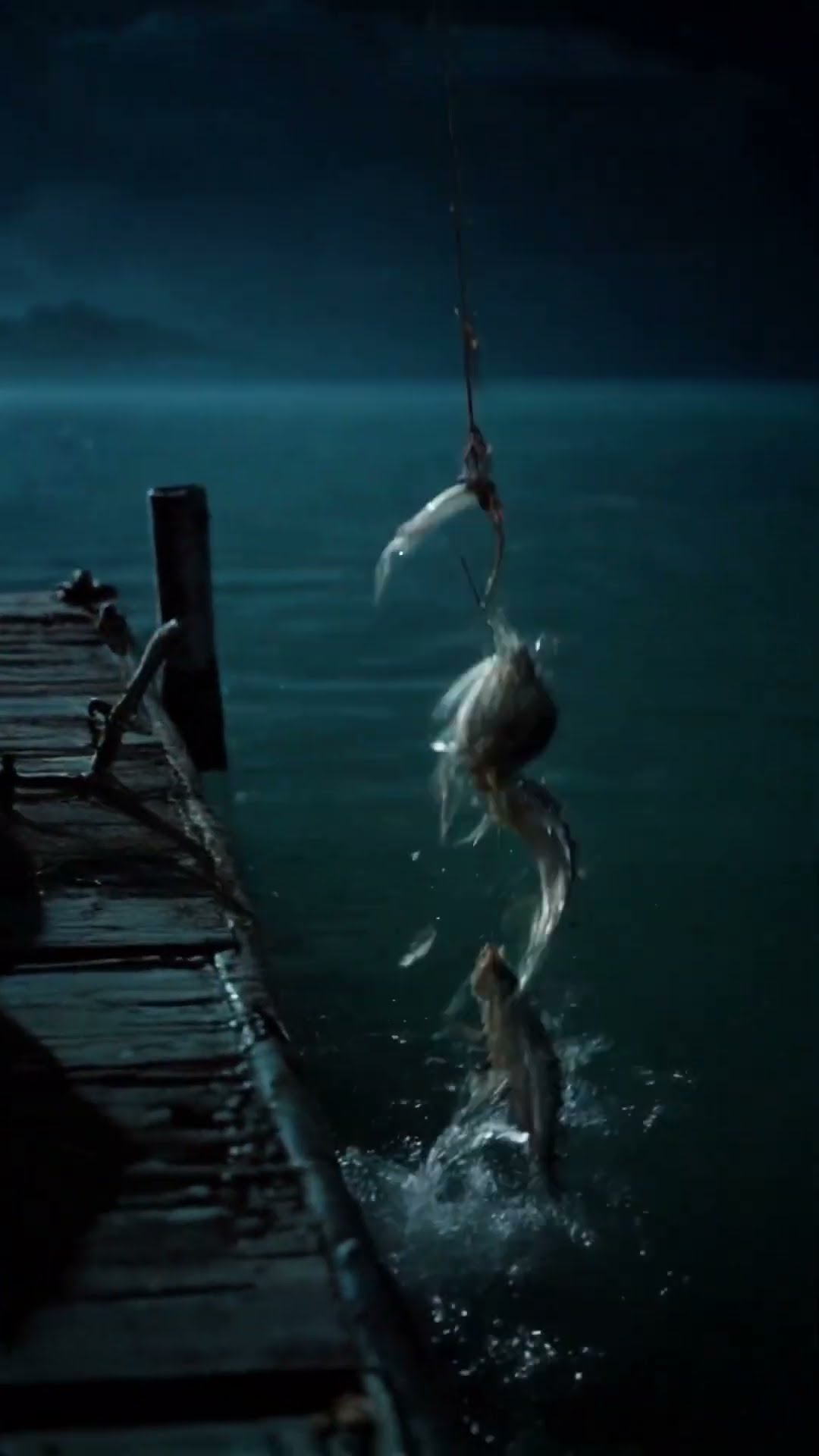 Catching a STACK of FISHES!