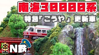 【N鉄】ポポンデッタ 南海30000系 特急「こうや」 更新車 | Nゲージ鉄道模型走行動画 | rios circle