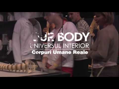 Expoziția „OUR BODY: Universul Interior” în premieră la Cluj!