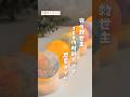 【夜の救世主】 100均材料だけで惑星ライト #100均 #寝かしつけ #救世主 #イヤイヤ期 #おうち遊び #手が汚れない #アクリル絵の具 #shorts