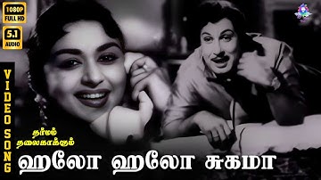 Hello Hello Sugama | HD Video Song 5.1 | MGR | Saroja Devi | TMS | P Susheela | Kannadasan | KVM
