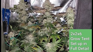 2x2x6 Grow Tent complete set up. Tips , Tricks and Secrets u Need to know