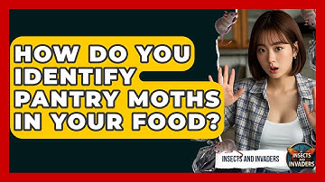 How Do You Identify Pantry Moths In Your Food? - Insects and Invaders