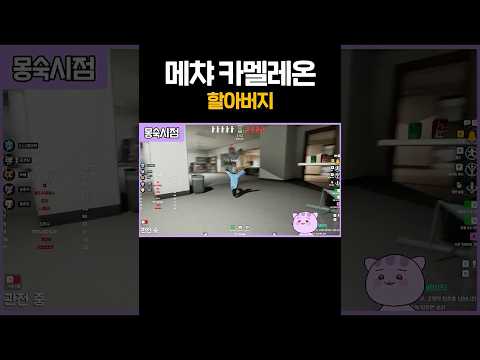 메챠 카멜레온 할아버지