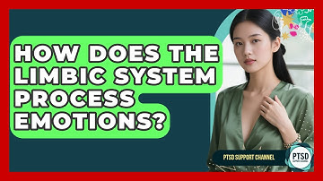 How Does The Limbic System Process Emotions? - PTSD Support Channel