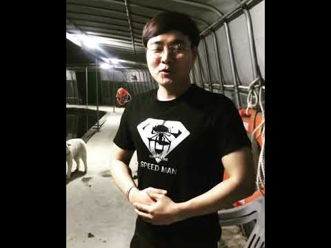 반려견 훈련사 이요셉