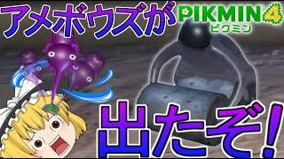 【ピクミン4】遂にアメボウズが出たぞぉぉぉ！！【ゆっくり実況】