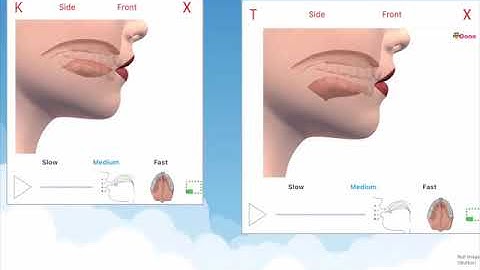 Articulation Video Changes for Speech World Web