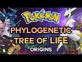 How did the first legendary pokmon evolve  pokmon phylogenetic tree of life part 1