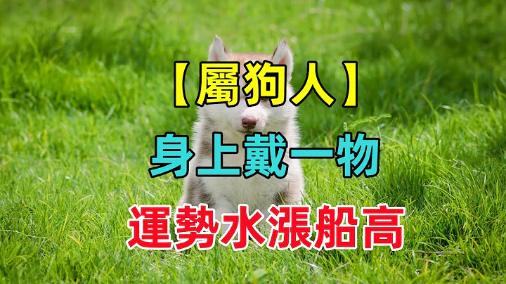 【属狗终身吉祥物】属狗人身上戴一物，运势水涨船高，财富不差钱！ - 天天要闻