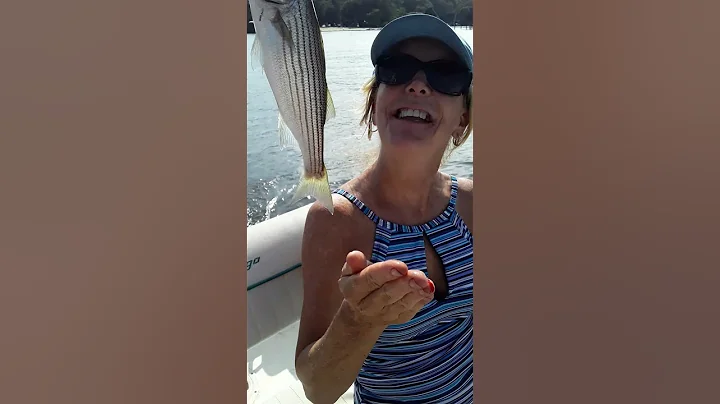 amanda and fish fight