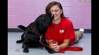 Jessica's Story, a Released Handler's Perspective