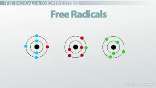 Inflammation, Oxidative Stress & Free Radical Damage to Health