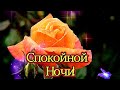 Спокойной ночи! Сладких снов тебе желаю в эту сказочную ночь.⭐🌙😘💎💎💎💎💎💎💎💎💎💎💎💎💎💎💎💎💎💎💎💎💎💎💎💎💎💎💎💎💎💎💎💎💎💎