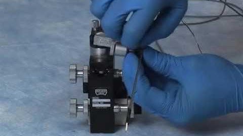Optical Mapping of the Cardiac cells in a Mouse