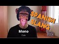SPANISH SLANG | Learn how to use REAL Spanish words!!